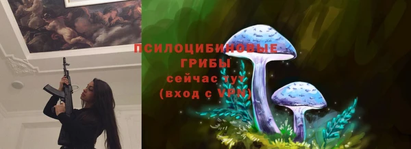 соль ск Белоозёрский