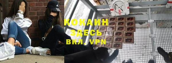 стафф Белокуриха